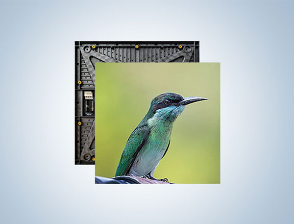 室內(nèi)全彩租賃標(biāo)準(zhǔn)系列